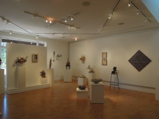 Collectanea Show in the Gallery, Shot 1