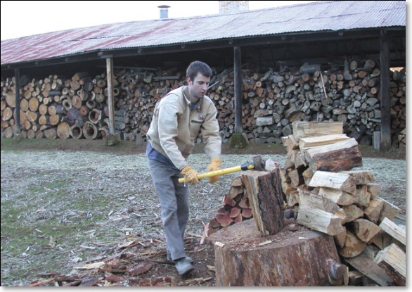 Chopping Wood for the Pope Valley Pottery Kiln